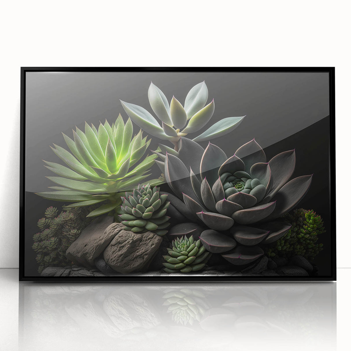 Framed wall art featuring a vibrant botanical design of assorted succulent plants in a sleek black frame, perfect for modern home decor and nature enthusiasts.