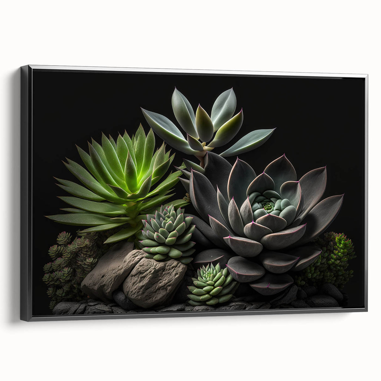 Framed canvas art showcasing a botanical design of colorful succulents against a black background, perfect for modern home decor. Side view highlights the sleek frame.
