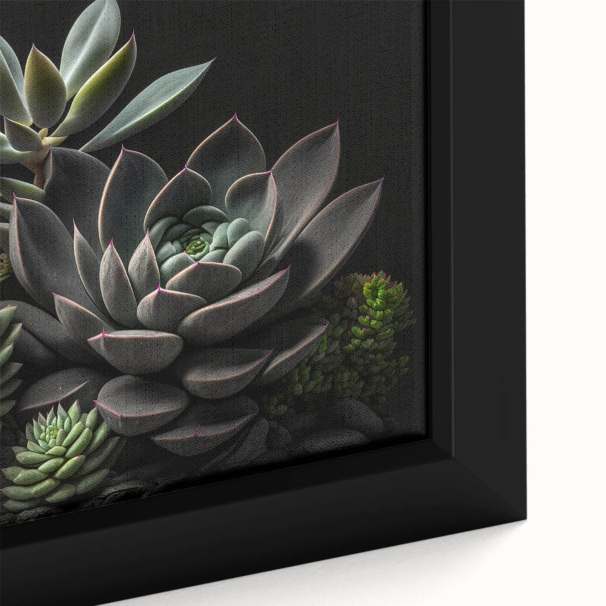 Close-up of a framed botanical wall art piece showcasing a vibrant collection of succulents, featuring lush greens and subtle pinks, perfect for home decor.