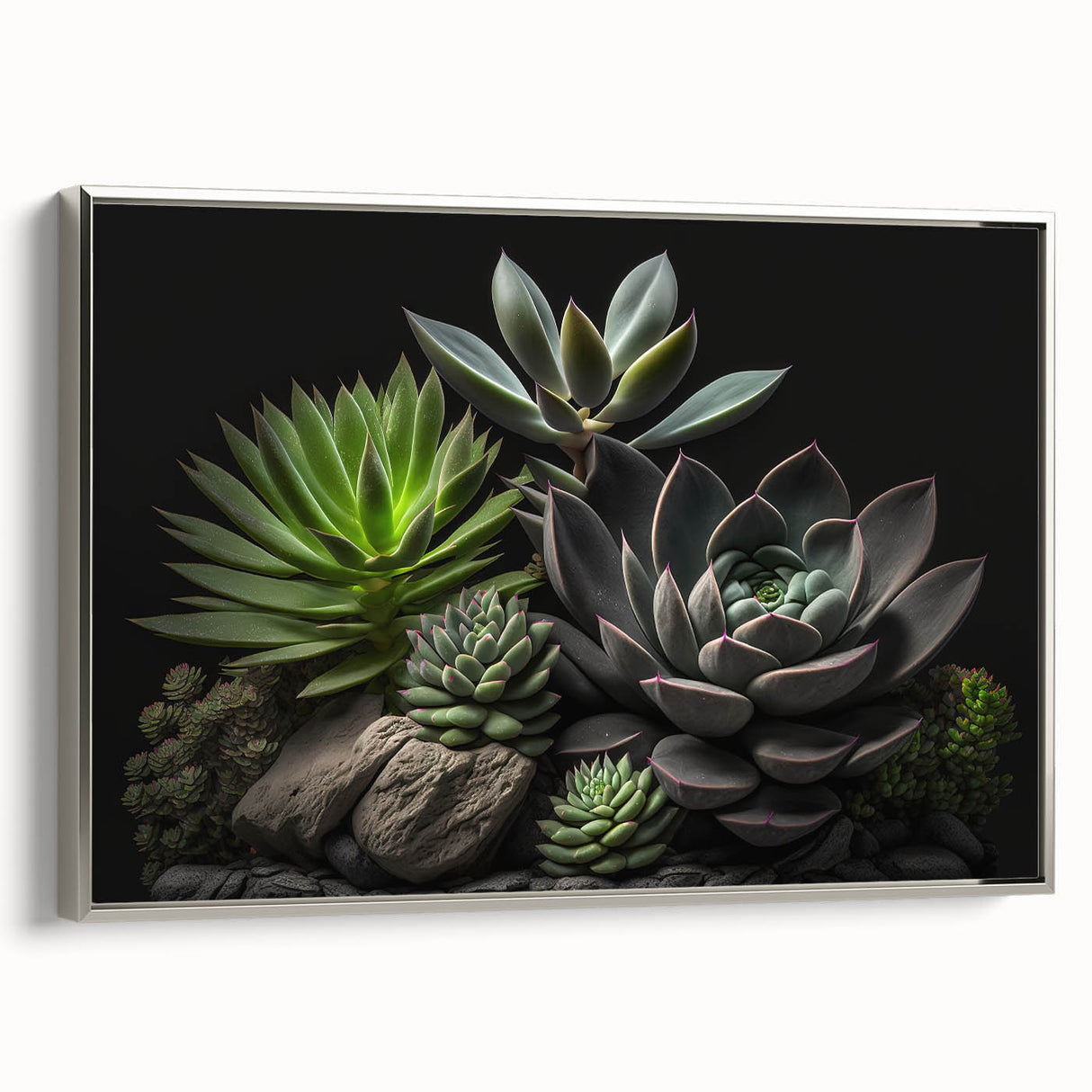 Framed wall art featuring a collection of botanical succulents in vibrant colors, with a sleek silver frame, showcasing modern home decor style and elegance.