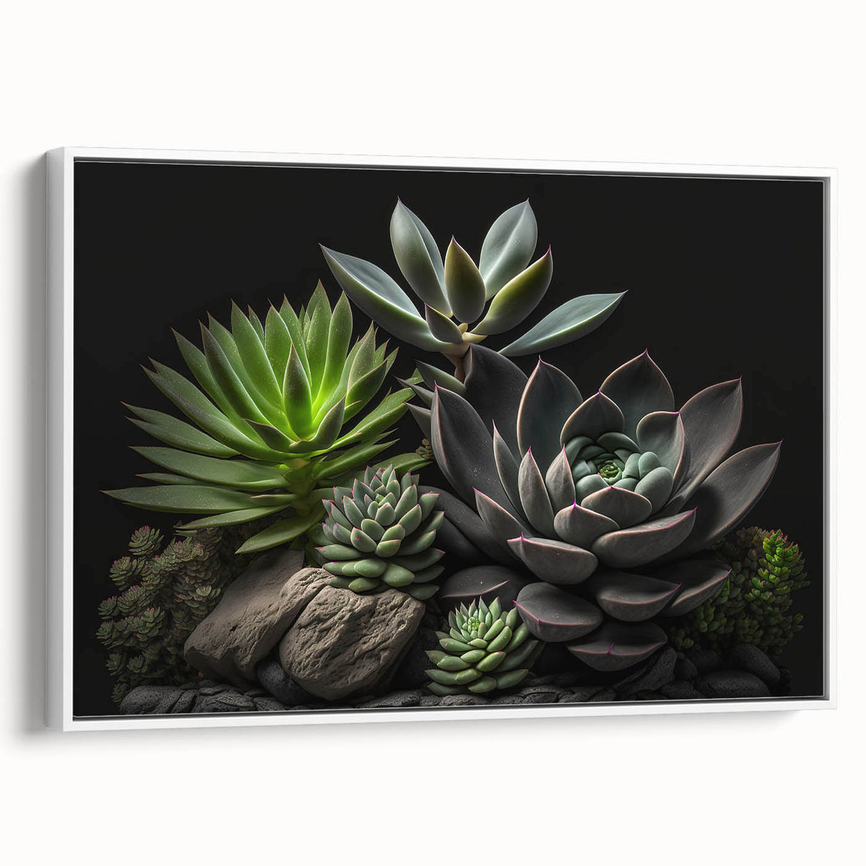Framed botanical wall art showcasing a vibrant succulent design with a white background, perfect for home decor. Ideal for plant lovers seeking modern aesthetics.
