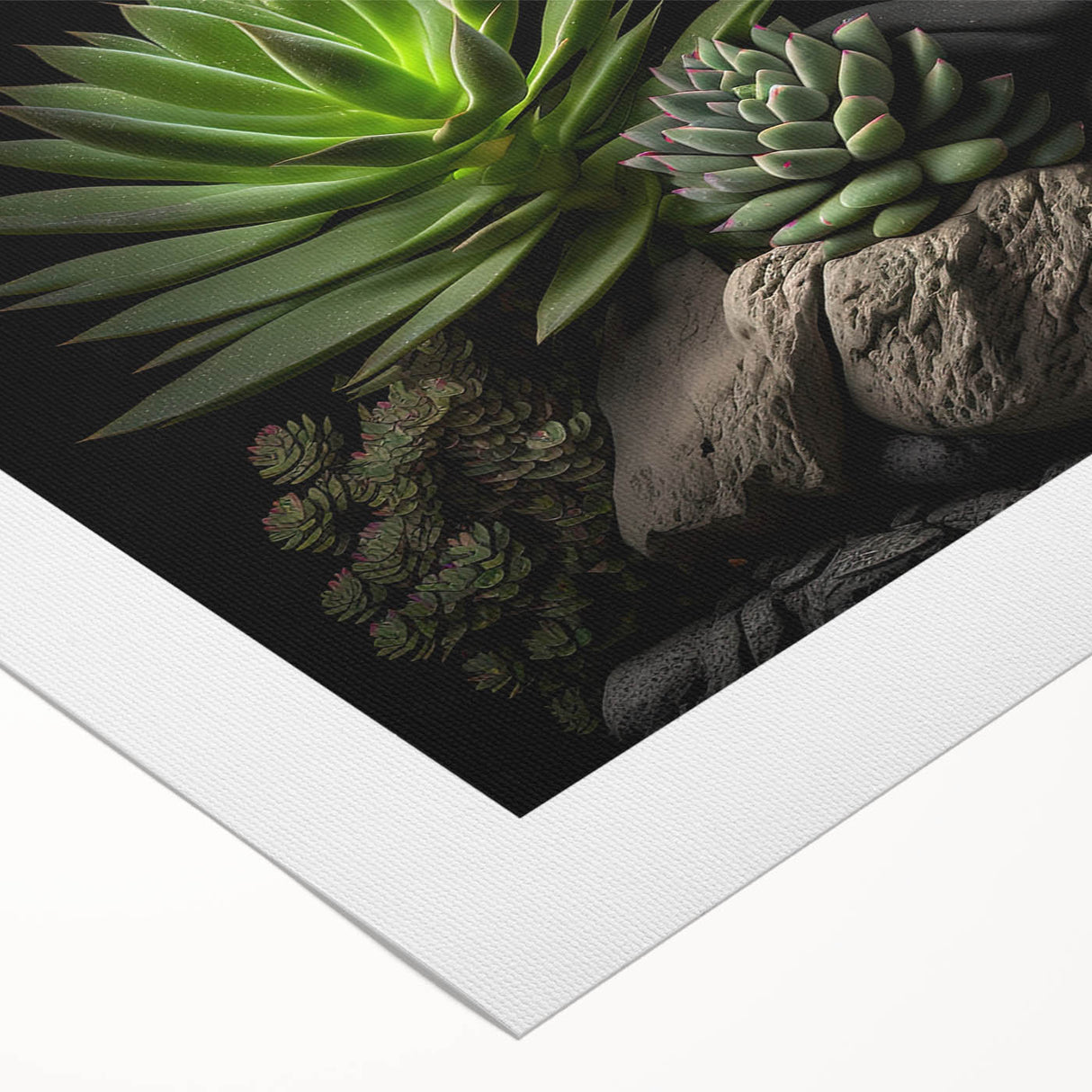 Botanical wall art collection showcasing vibrant succulents and flowers on rolled canvas, perfect for home decor. Ideal for adding a touch of nature to any room.