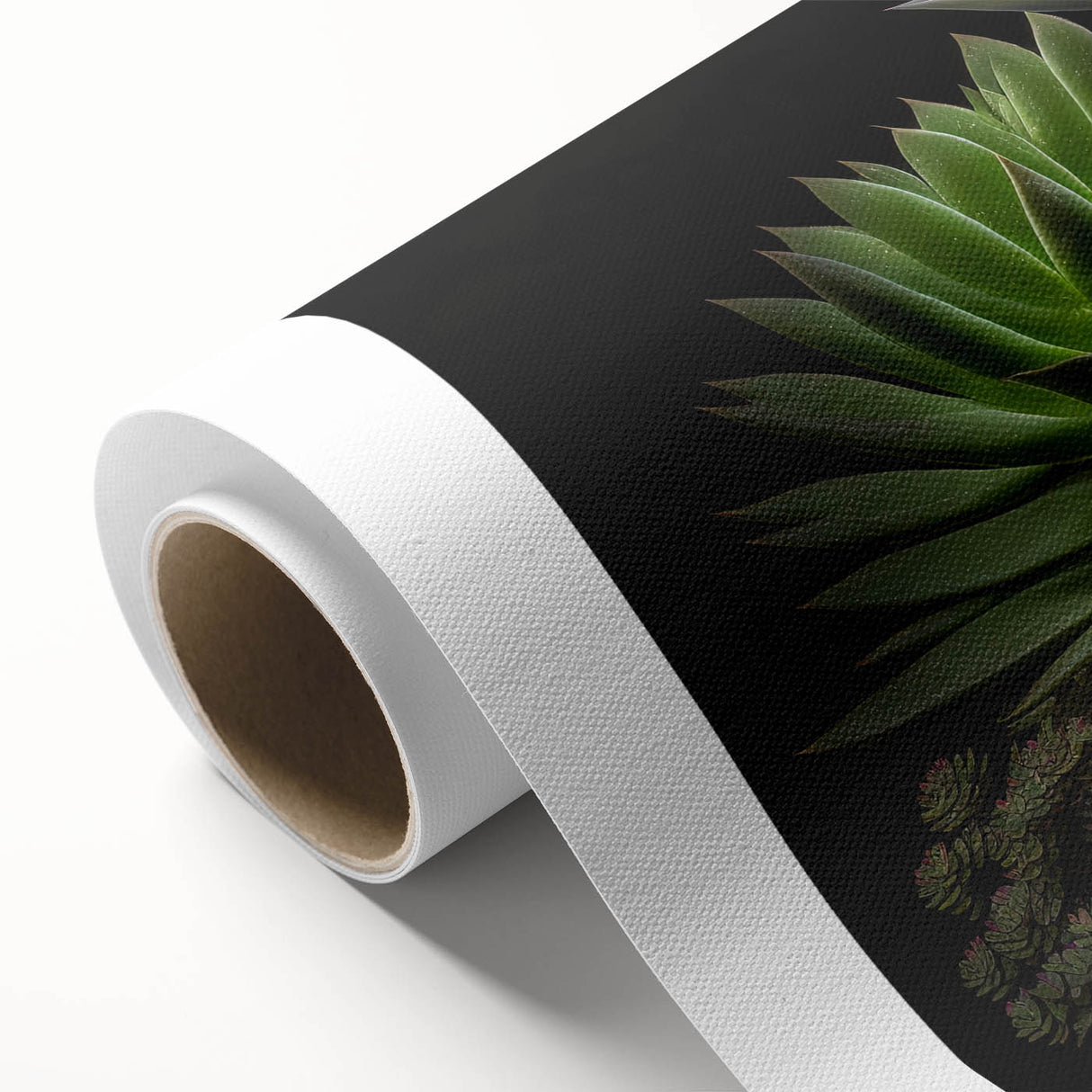 Botanical wall art featuring a vibrant succulent design on rolled canvas, showcasing various shades of green and pink hues, ideal for home decor and plant lovers.
