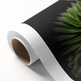 Botanical wall art featuring a vibrant succulent design on rolled canvas, showcasing various shades of green and pink hues, ideal for home decor and plant lovers.