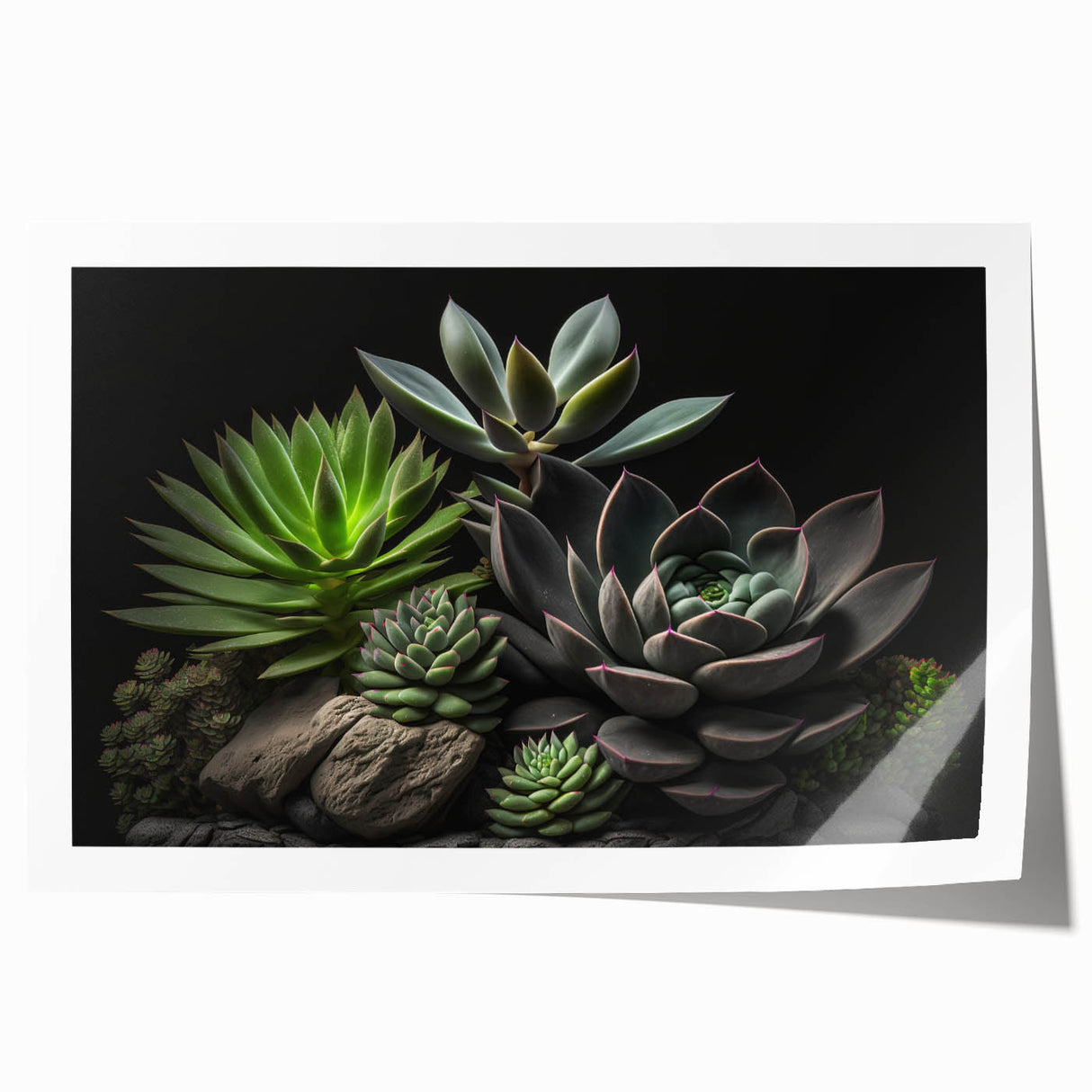 Botanical wall art print showcasing a vibrant collection of colorful succulents in a modern design, perfect for home decor or office styling.