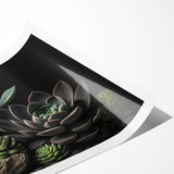Botanical wall art collection showcasing vibrant succulents in various shades of green and pink, rolled and ready for display, perfect for home decor enthusiasts.