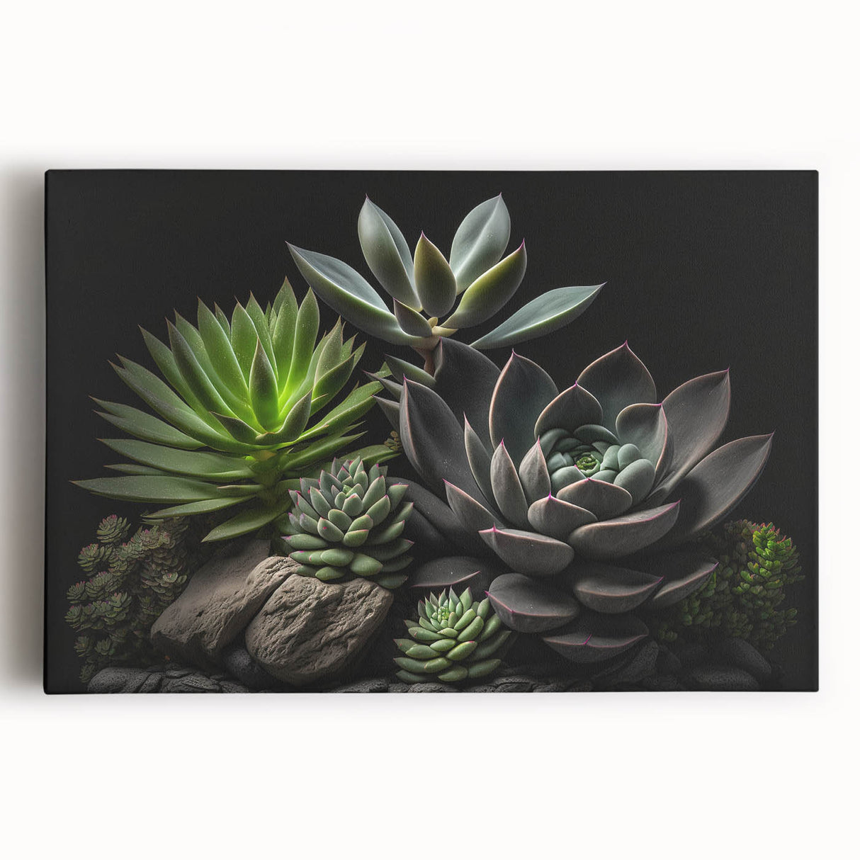 Stretched canvas wall art showcasing a vibrant botanical design featuring assorted succulents and flowers in rich colors, perfect for home decor.
