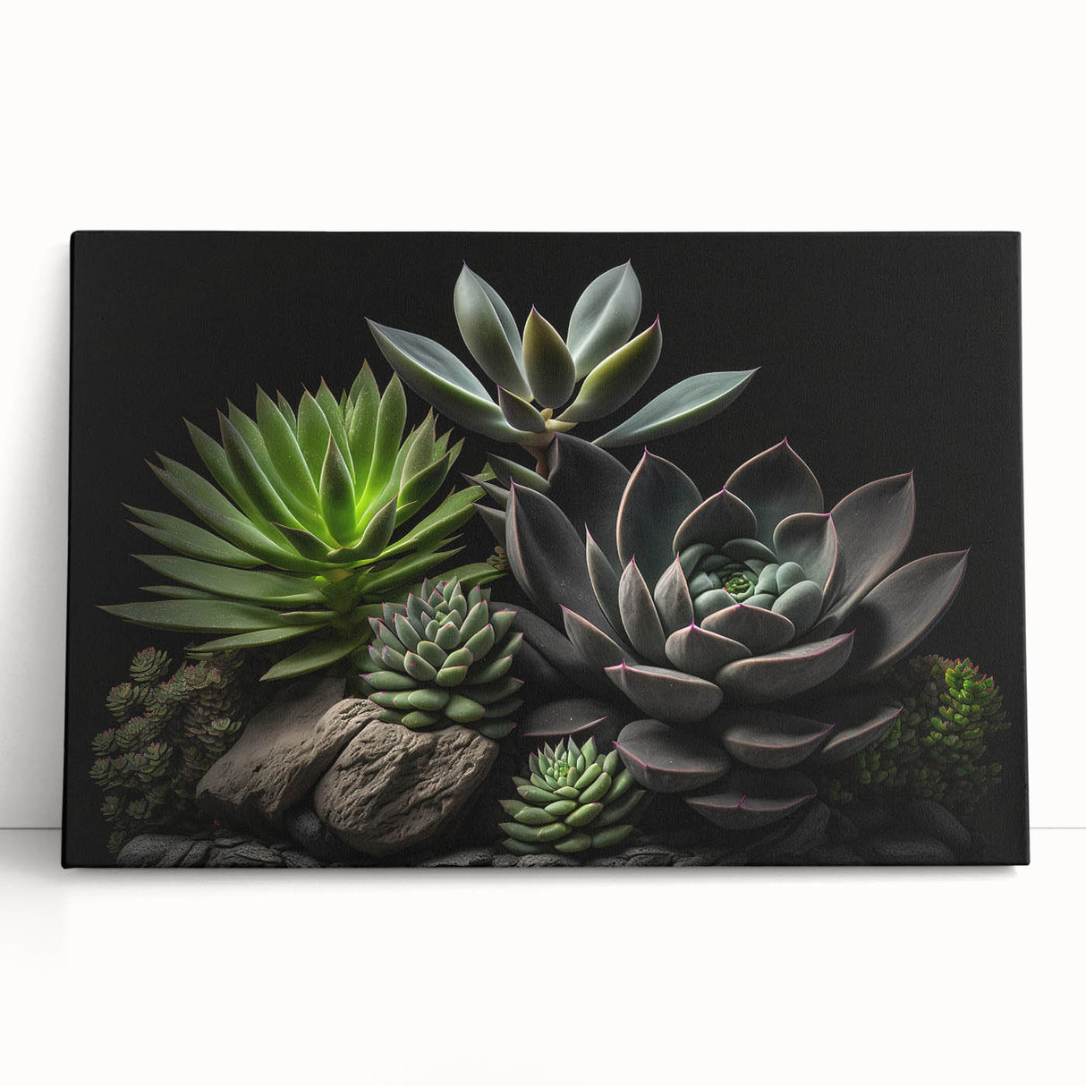 Colorful botanical wall art design featuring various succulents on stretched canvas, leaning against a neutral wall, ideal for home decor and interior styling.