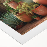 Vibrant botanical wall art showcasing a variety of colorful succulents in a modern design, printed on high-quality rolled canvas, ideal for home décor.
