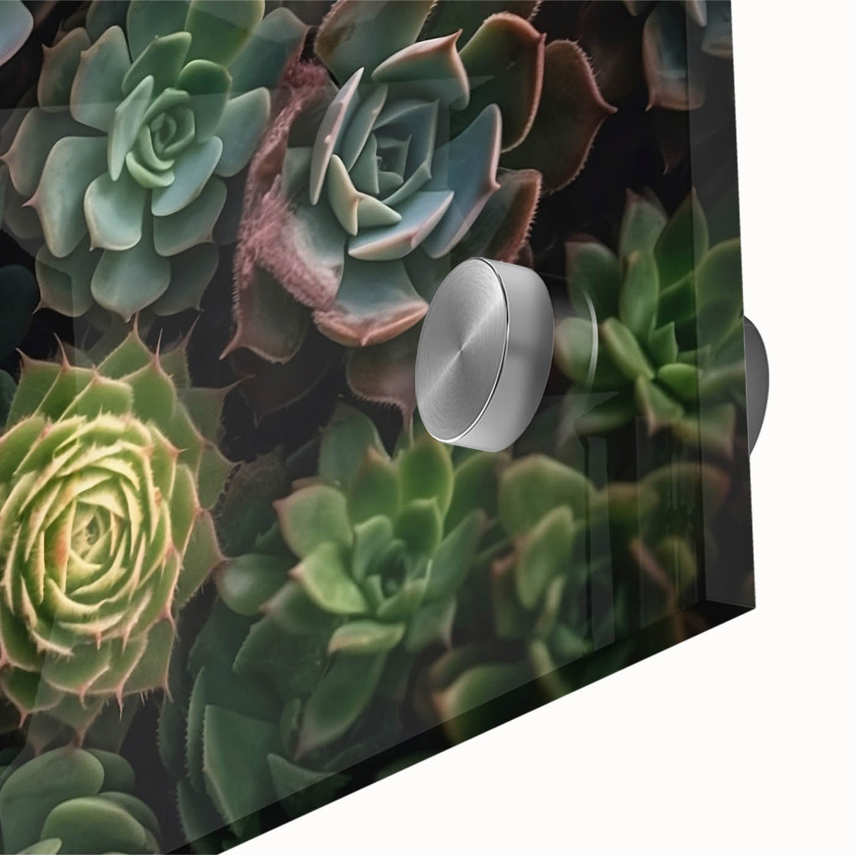 Close-up of a vibrant botanical wall art piece featuring an array of colorful succulents, designed for home décor, showcasing intricate textures and details.