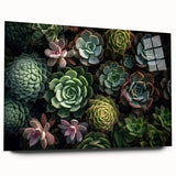 Succulent botanical wall art collection displayed in a sleek acrylic frame, showcasing vibrant colors and intricate details of various succulents, perfect for home decor.