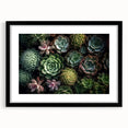 Botanical wall art collection featuring a framed design of colorful succulents, presented in a sleek black frame with a mat, ideal for home decor.