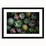 Botanical wall art collection featuring a framed design of colorful succulents, presented in a sleek black frame with a mat, ideal for home decor.