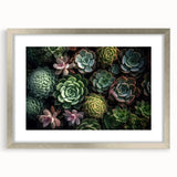 Botanical wall art collection featuring a framed design of colorful succulents with a silver mat and frame, ideal for modern home decor and nature lovers.