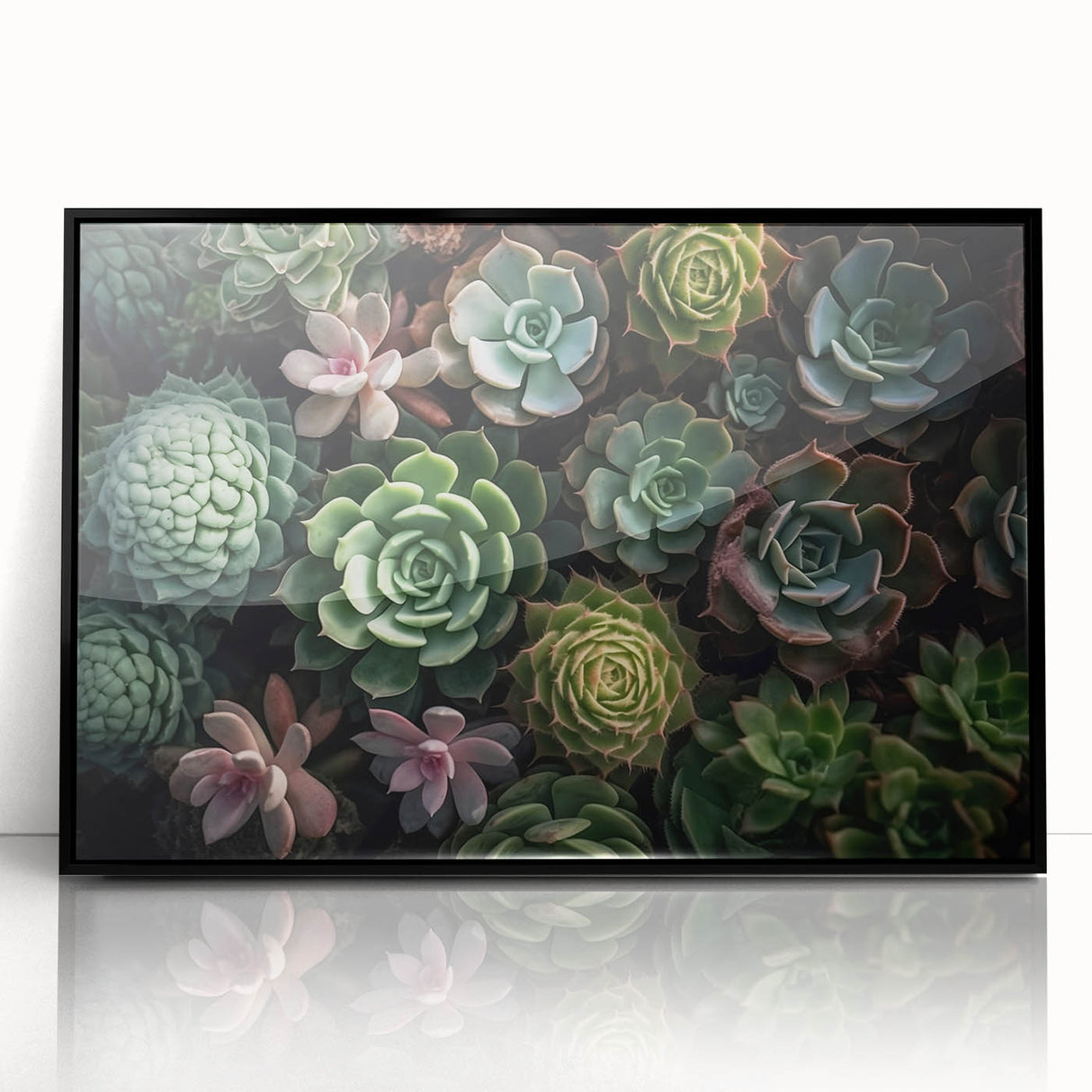 Framed wall art featuring a botanical design of various colorful succulents, presented in a sleek black frame, perfect for adding a modern touch to home decor.