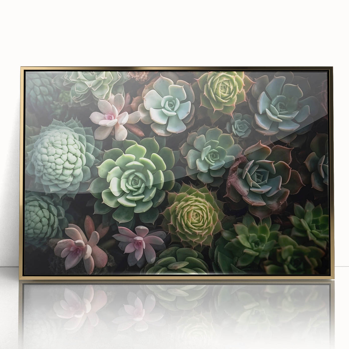 Framed wall art showcasing a collection of botanical succulents in vibrant colors, encased in an elegant gold frame, perfect for home decor.