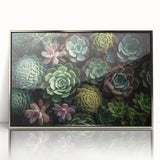Framed botanical wall art collection featuring vibrant succulents design in a sleek silver frame, perfect for modern home decor and nature enthusiasts.