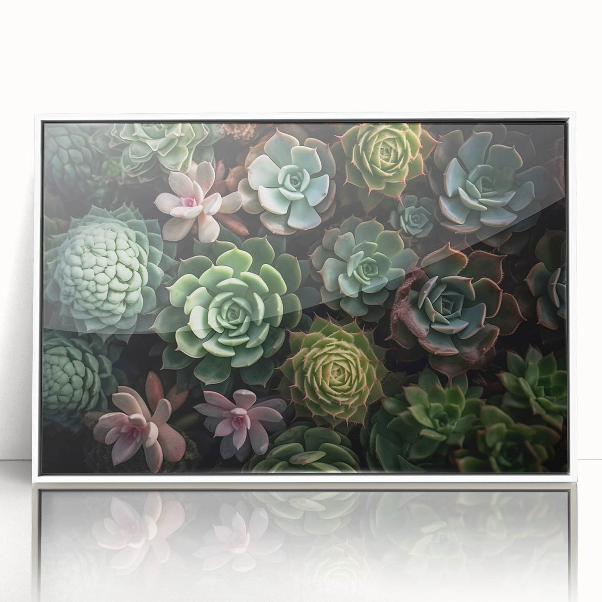 Framed botanical wall art featuring a vibrant design of succulents and flowers in a sleek white frame, perfect for modern home decor.