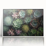 Framed botanical wall art featuring a vibrant design of succulents and flowers in a sleek white frame, perfect for modern home decor.