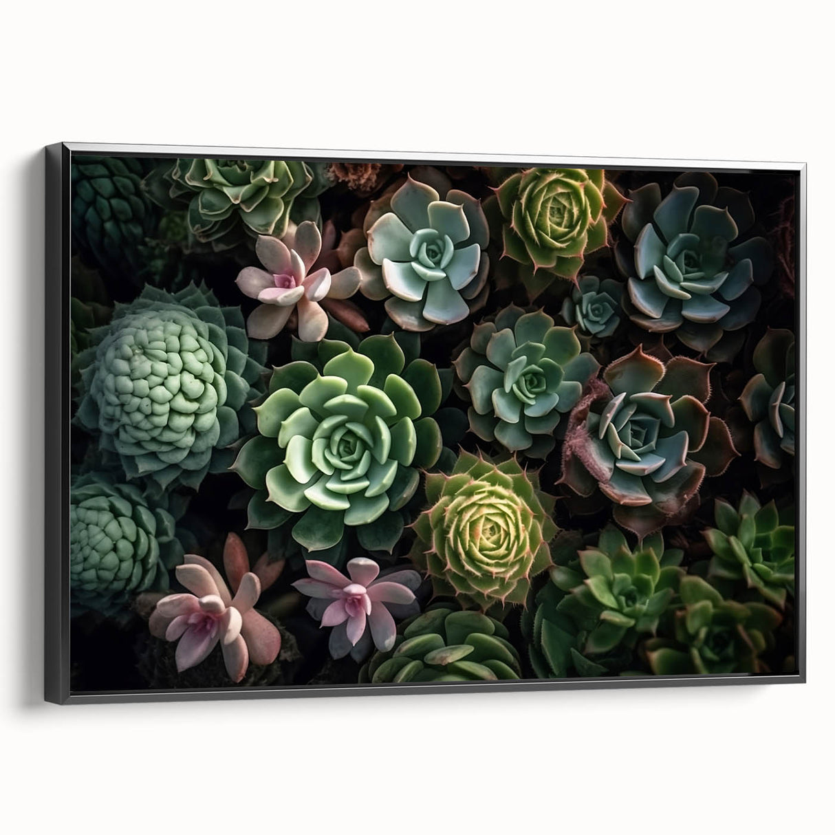 Framed wall art showcasing a botanical design of vibrant succulents on a black background, perfect for home decor and plant enthusiasts.