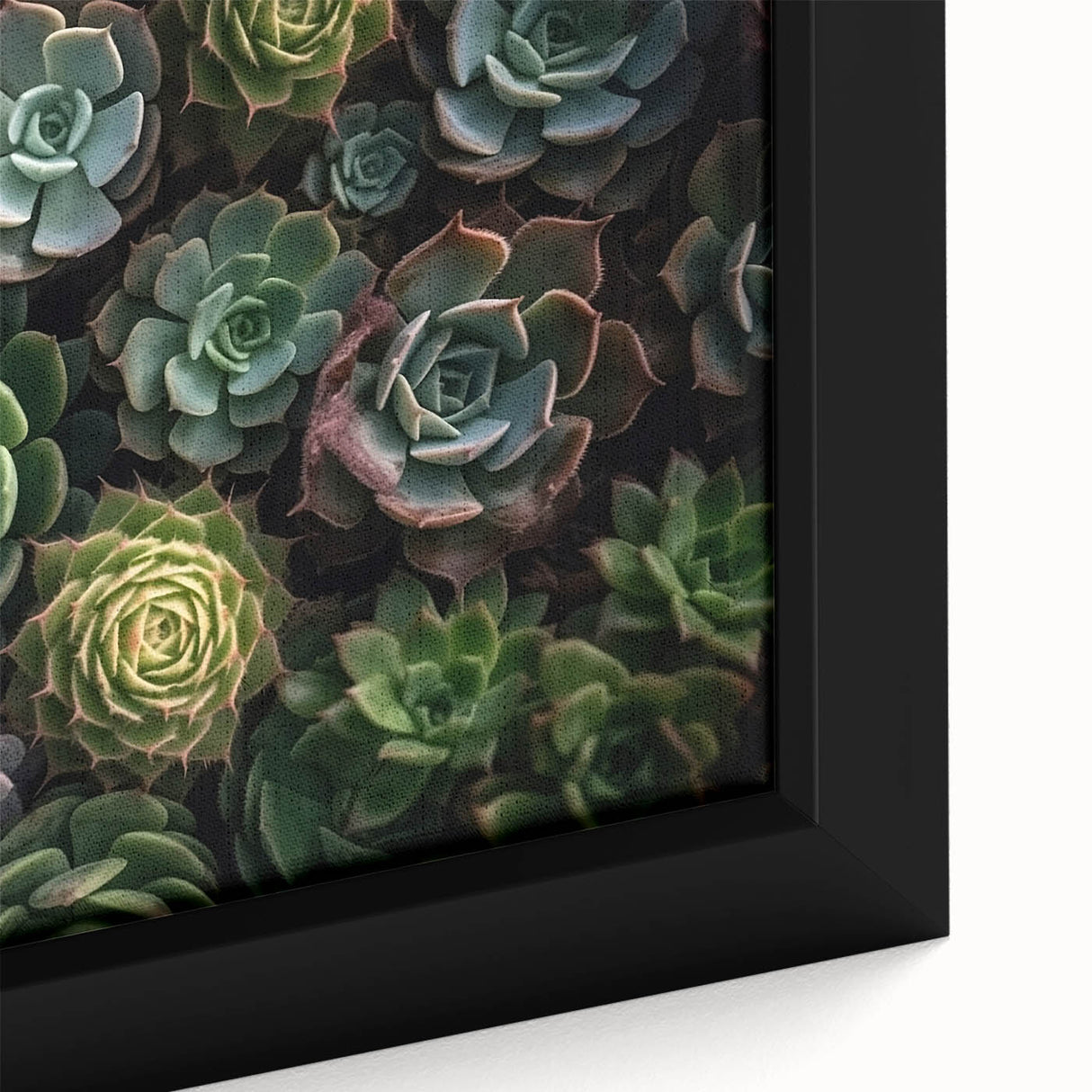 Close-up of a framed botanical wall art piece showcasing colorful succulent plants in a modern design, perfect for home decor and interior styling.