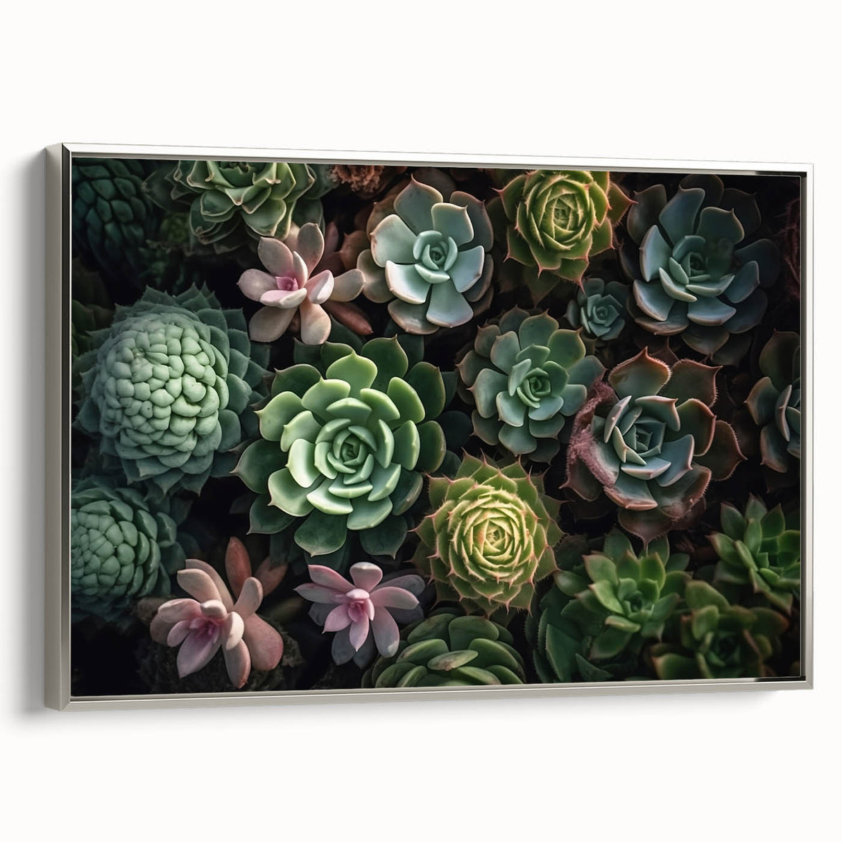 Framed wall art showcasing a botanical design of colorful succulents on a silver background, perfect for enhancing modern home decor with a touch of nature.