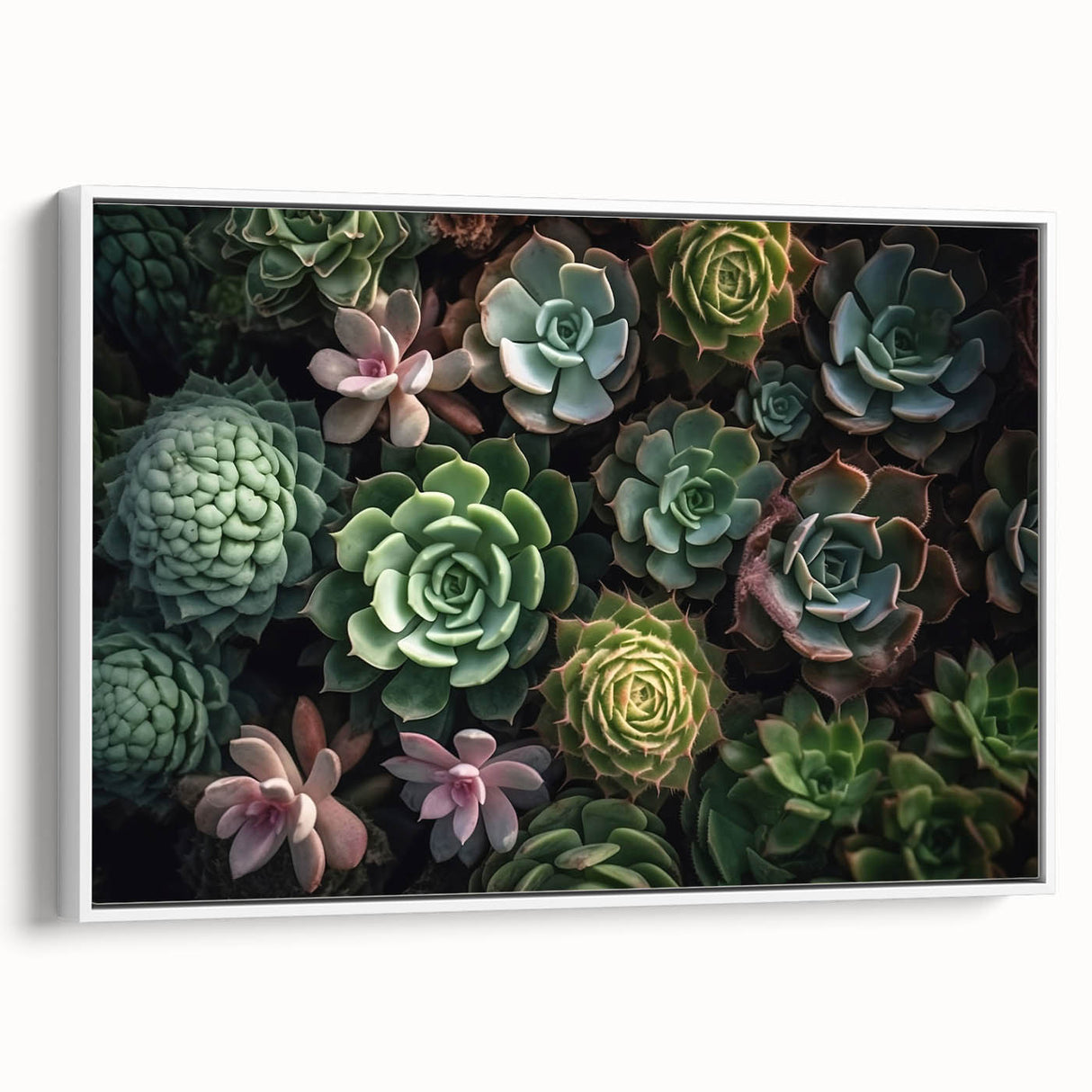 Framed canvas wall art featuring a botanical design of vibrant succulents in a modern white frame, ideal for home decor. The piece showcases lush greens and earthy tones, adding a fresh, natural touch to any interior space.