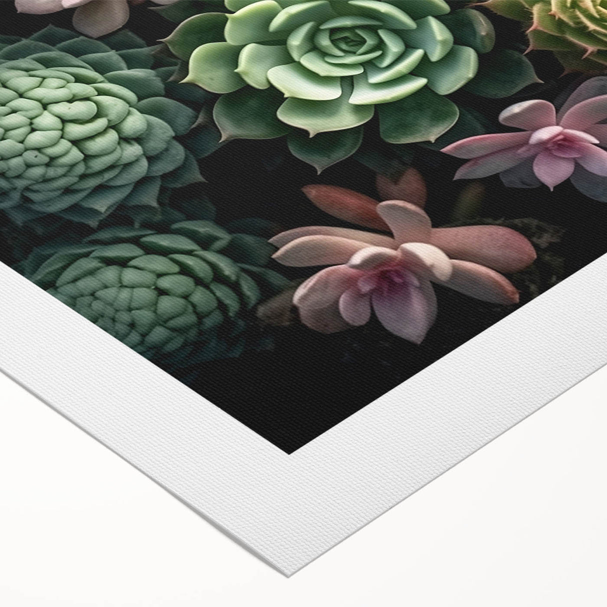 Botanical wall art collection featuring vibrant succulents and flowers on rolled canvas, showcasing intricate details and colors, perfect for home decor.