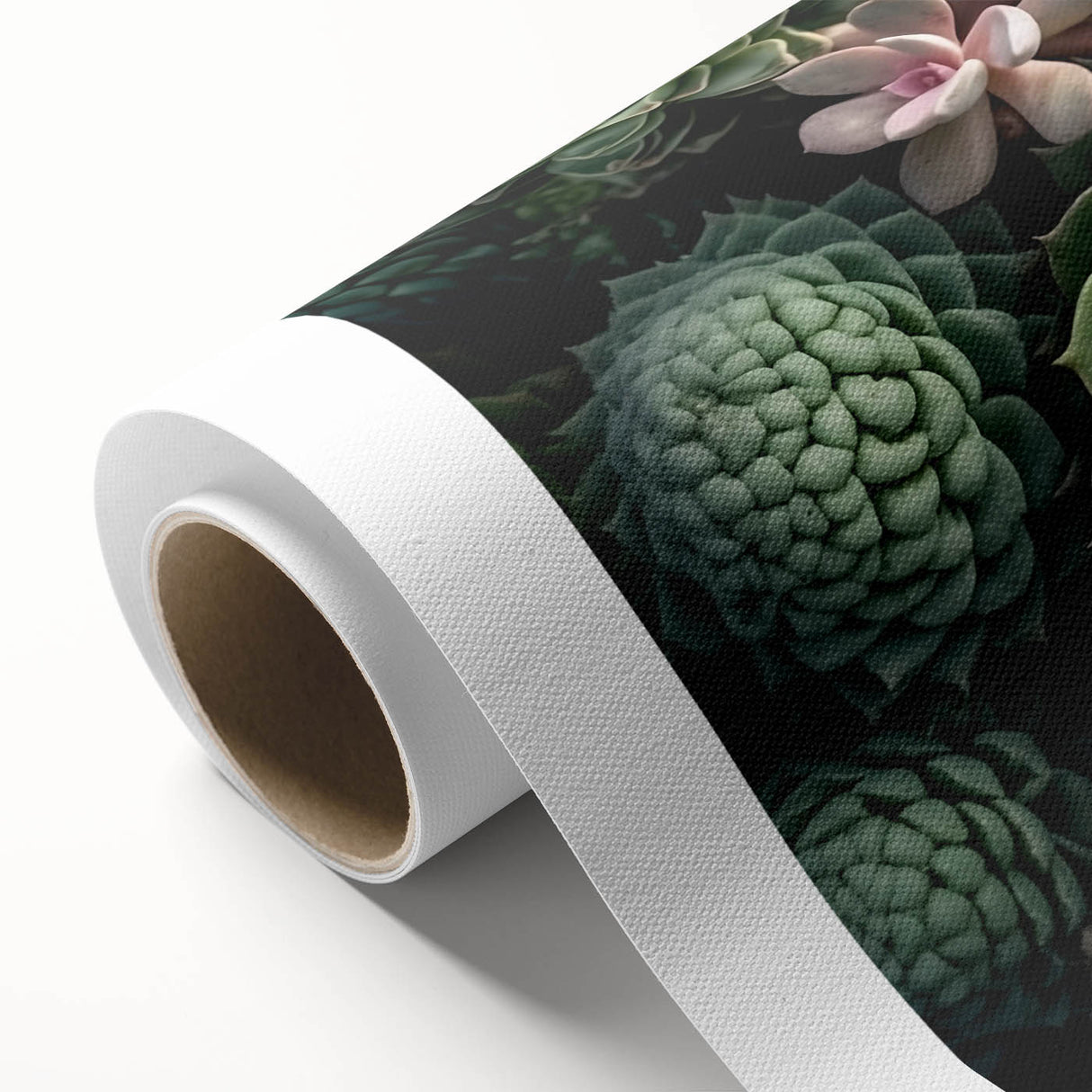 Vibrant botanical wall art collection featuring a variety of colorful succulents on rolled canvas, ideal for home decor, showcasing intricate details and textures.