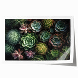 Botanical wall art print showcasing a vibrant collection of succulents in various colors and shapes, rolled for easy display and shipping in a protective tube.