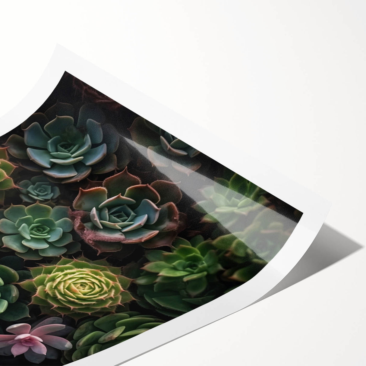 Botanical wall art print showcasing a vibrant collection of succulents and flowers in soft pastel colors, ideal for home decor and enhancing any living space.