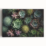 Vibrant botanical wall art collection showcasing various succulents on stretched canvas, featuring intricate details and lush green hues, ideal for home decor.