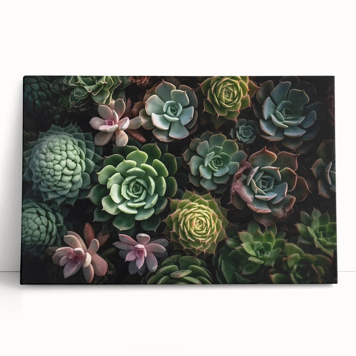 Botanical wall art collection showcasing vibrant succulents in various shades of green and pink, beautifully stretched on canvas, ideal for modern home decor.