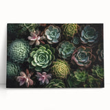 Botanical wall art collection showcasing vibrant succulents in various shades of green and pink, beautifully stretched on canvas, ideal for modern home decor.
