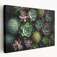 Stretched canvas showcasing a vibrant botanical design of assorted succulents, featuring lush greens and textured details, ideal for home decor enhancement.