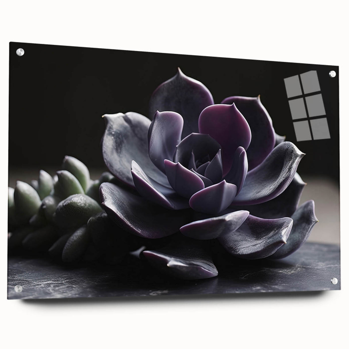 Acrylic glass wall art featuring a vibrant botanical design of assorted succulents, showcasing intricate details and vivid colors, ideal for home decor.