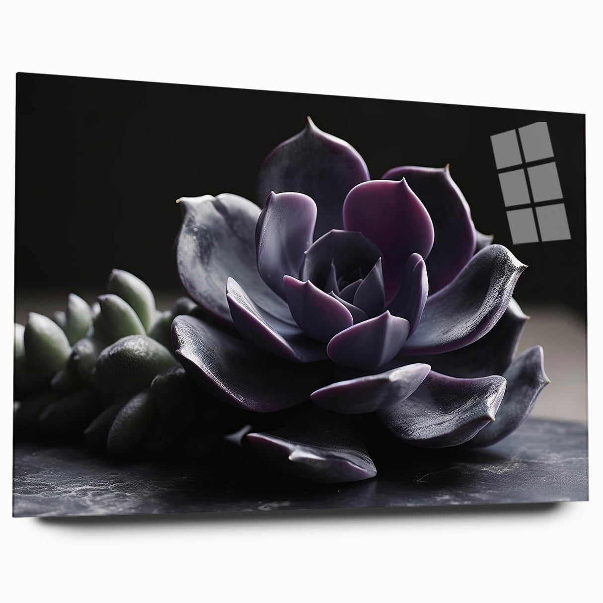 Side view of a botanical wall art design showcasing vibrant succulents, printed on acrylic glass, highlighting colorful plant details and elegant craftsmanship.
