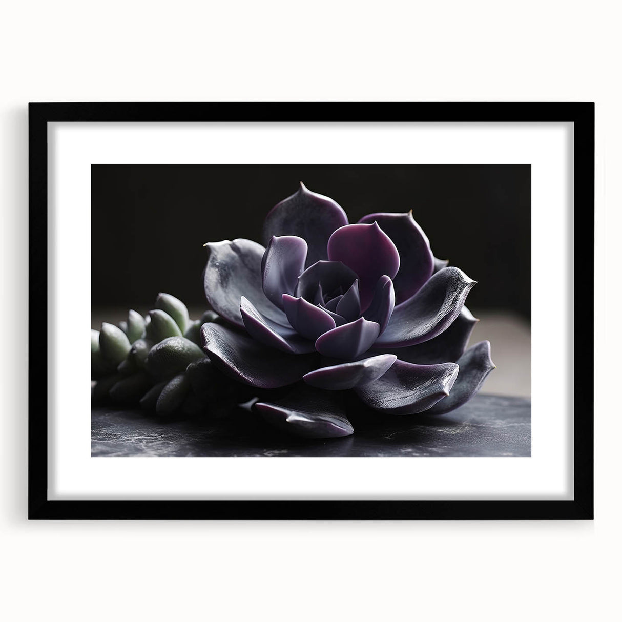 Framed botanical wall art featuring a vibrant succulent design, set in a sleek black frame with a mat, perfect for home decor and enhancing indoor aesthetics.