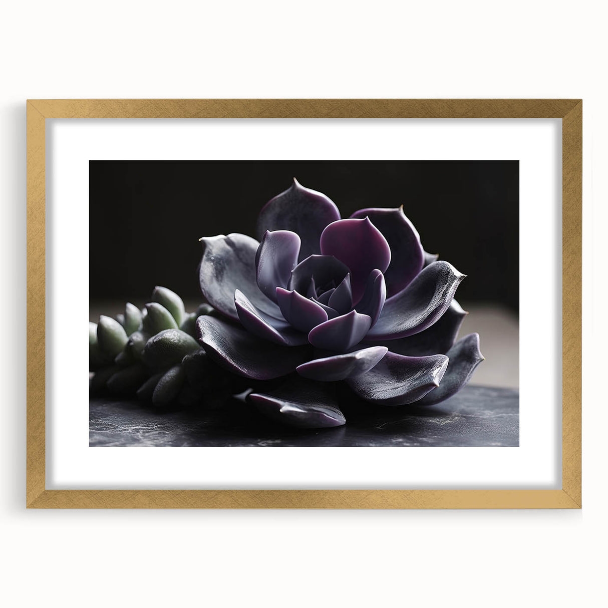 Botanical wall art featuring a collection of vibrant succulents in a gold frame, elegantly matted for a sophisticated display, perfect for enhancing home decor.