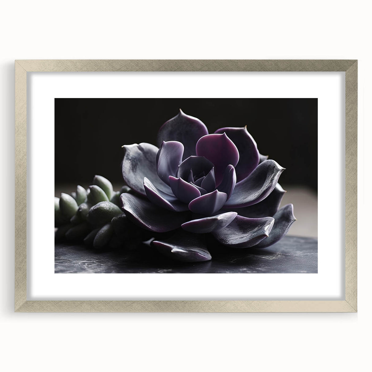 Botanical wall art collection featuring a silver-framed design of colorful succulents, showcasing intricate details and vibrant hues, perfect for home decor enhancement.