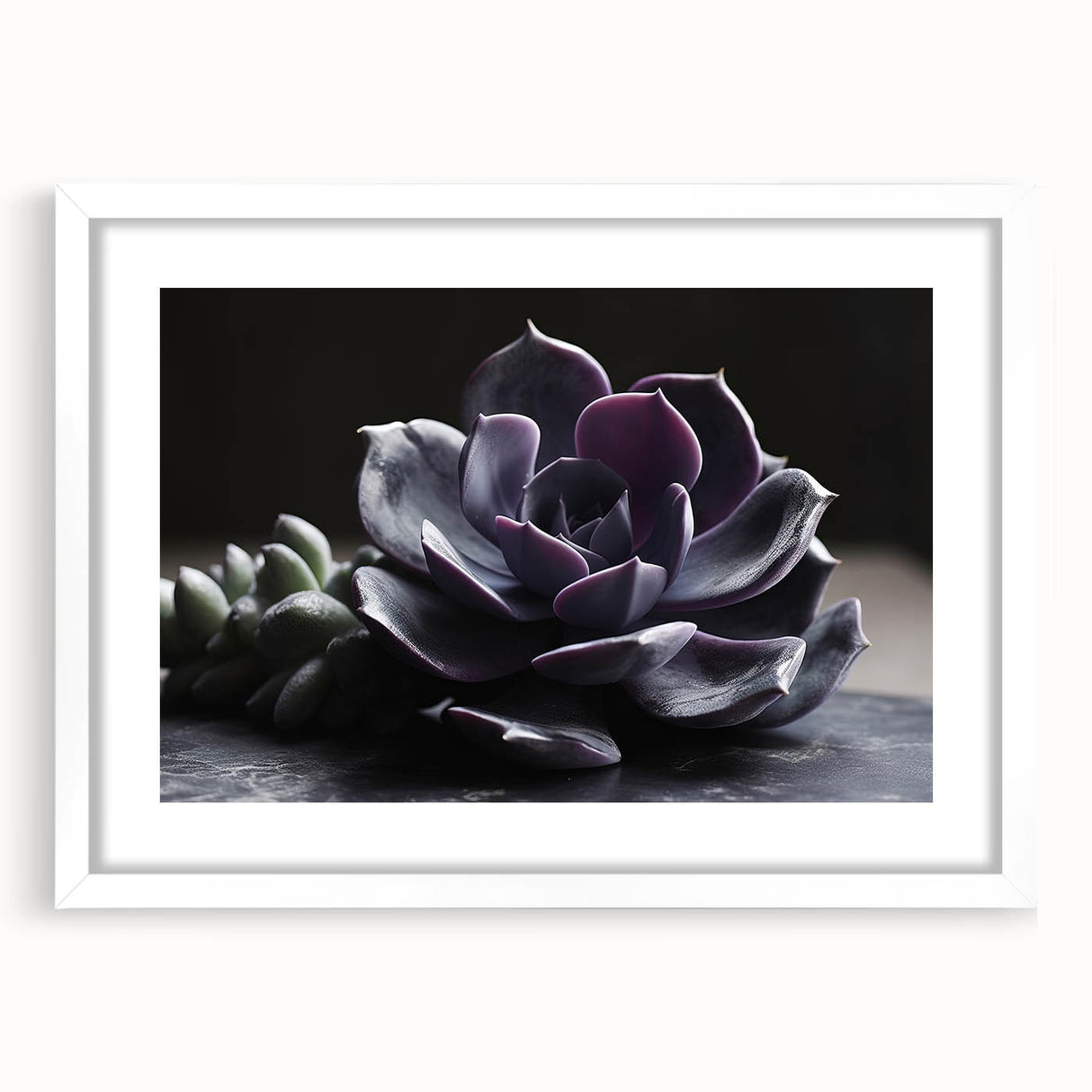 Botanical wall art featuring a vibrant collection of succulents in a sleek white frame with a mat, ideal for modern decor and nature enthusiasts. This design showcases intricate details and colorful foliage, perfect for enhancing any living space.