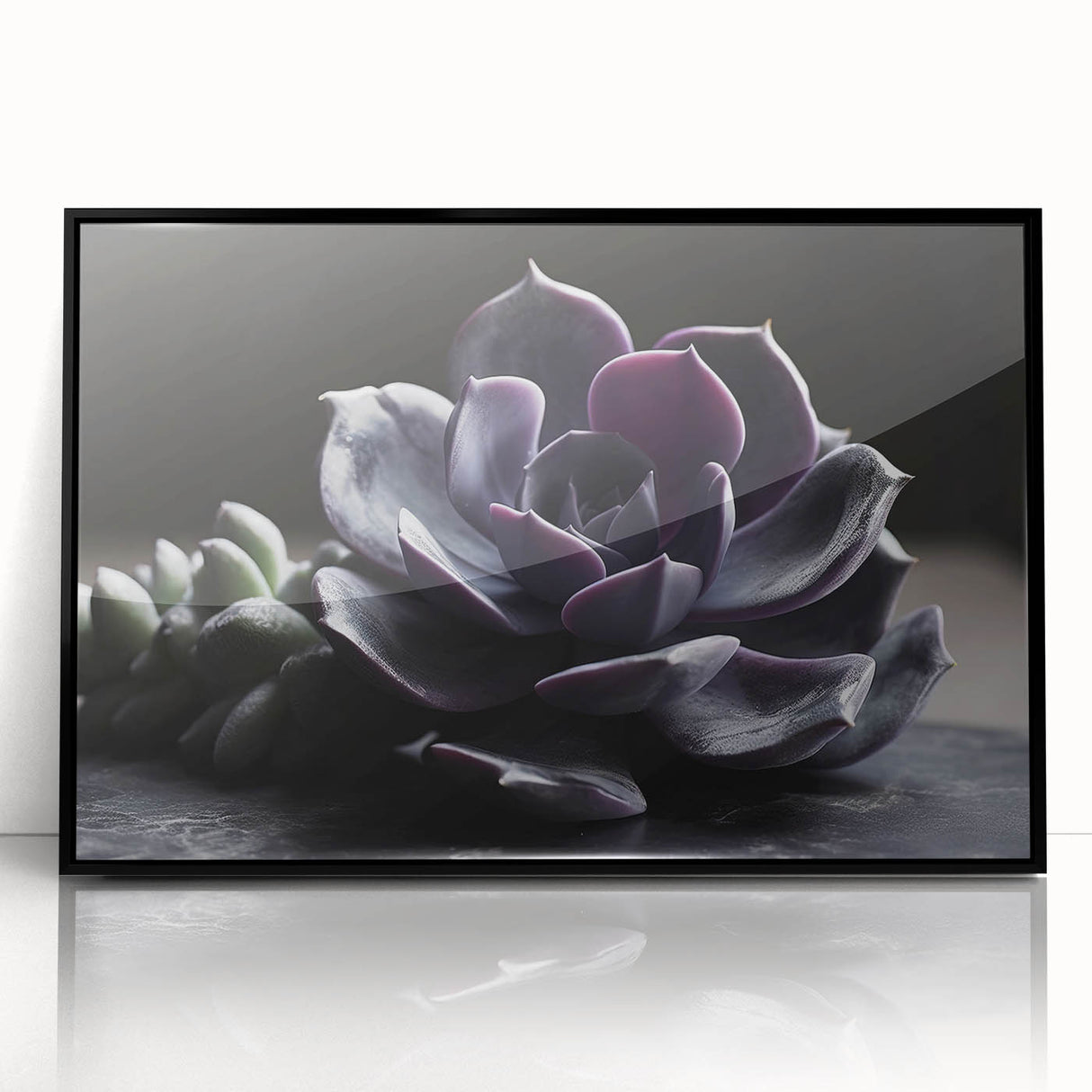 Framed wall art featuring a botanical design of colorful succulents, set in a sleek black frame, perfect for enhancing modern home decor.