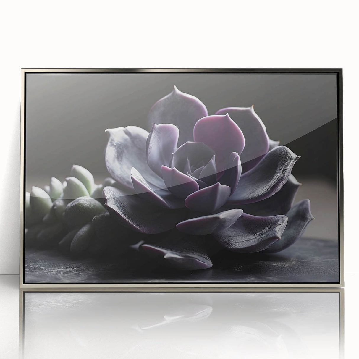 Framed wall art showcasing a vibrant botanical design featuring an array of colorful succulents, elegantly displayed in a silver frame, perfect for home decor.