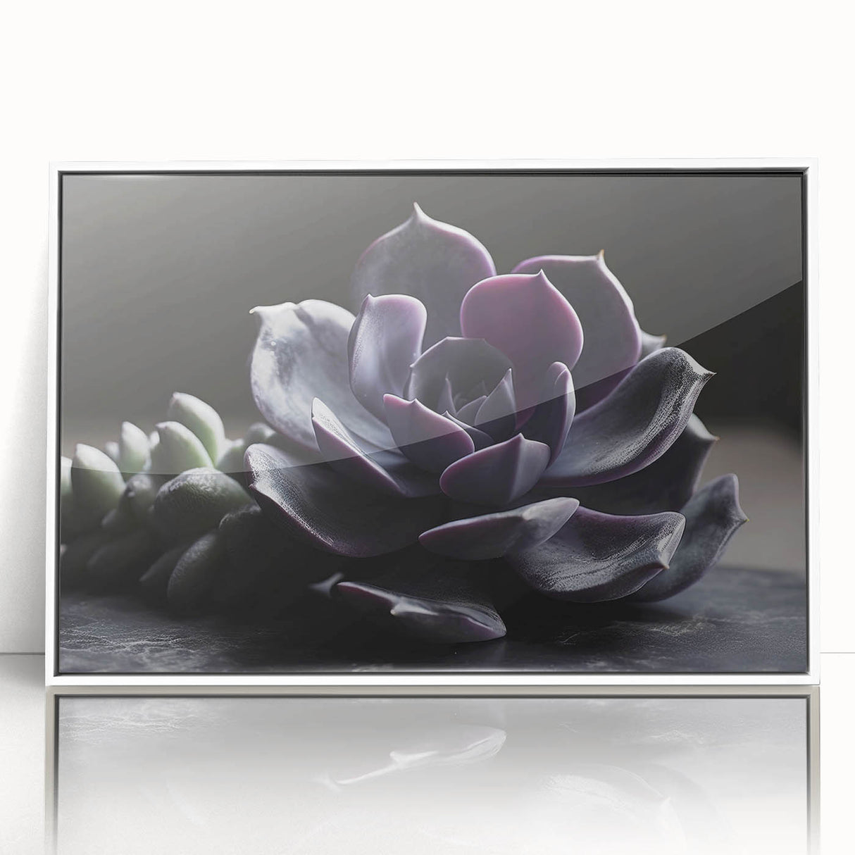 Framed wall art featuring a vibrant floral and botanical succulent design, showcasing various green succulents and colorful flowers against a white background, enhancing any decor.