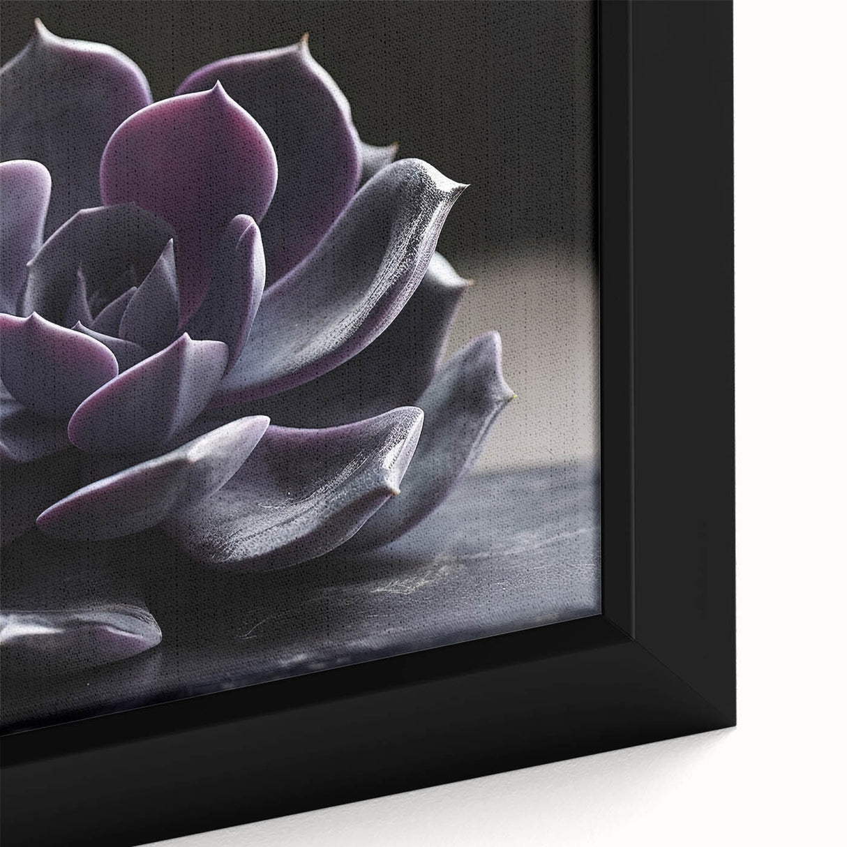 Close-up of a framed botanical wall art piece showcasing vibrant succulents in various shades of green and pink, perfect for enhancing modern home decor.