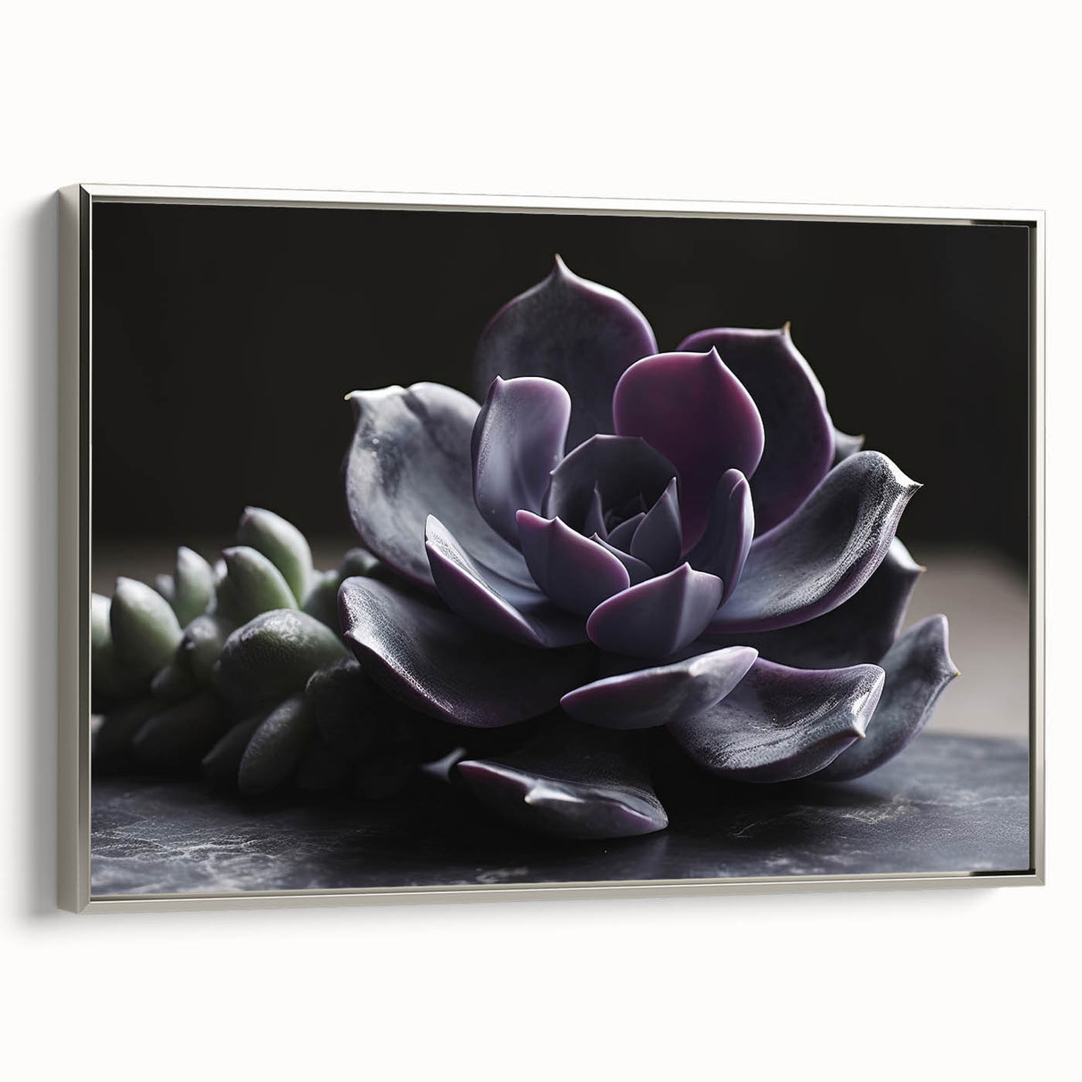 Framed wall art featuring a botanical design of colorful succulents against a silver background, showcasing intricate details and textures, perfect for home decor.
