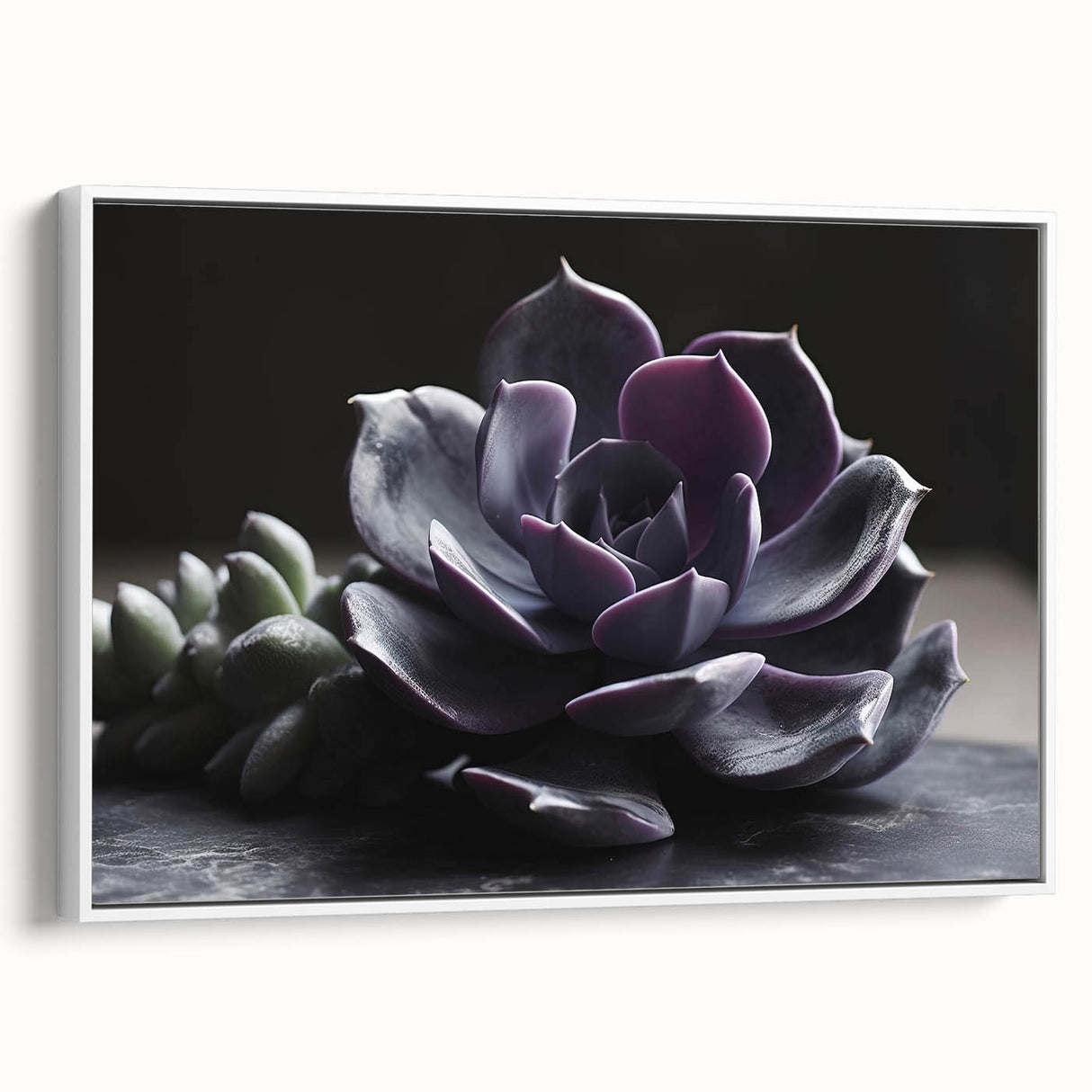 Framed canvas wall art showcasing a vibrant botanical design featuring succulents in shades of green and pink, set against a white background, ideal for modern home decor.