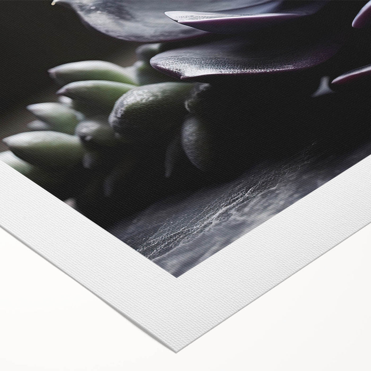 Botanical wall art design showcasing vibrant succulents and flowers on a rolled canvas, perfect for home decor. Ideal for nature enthusiasts and plant lovers.