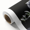 Succulent botanical wall art design on rolled canvas, showcasing vibrant green hues and intricate plant details, perfect for home decor or nature enthusiasts.
