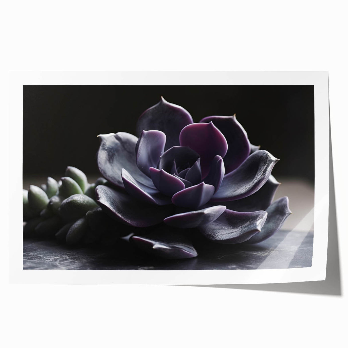 Vibrant botanical wall art print showcasing an intricate design of succulents and flowers, perfect for home decor, rolled and ready for framing.